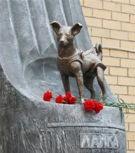 Laïka, le chien de l'espace venu de l'URSS