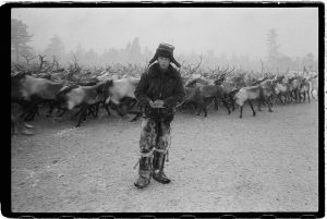 Photos de Russie : éleveur de rennes